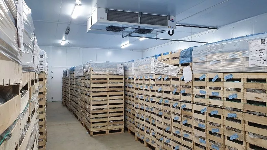 Контейнеры с продукцией под воздухоохладителями холодильной камеры